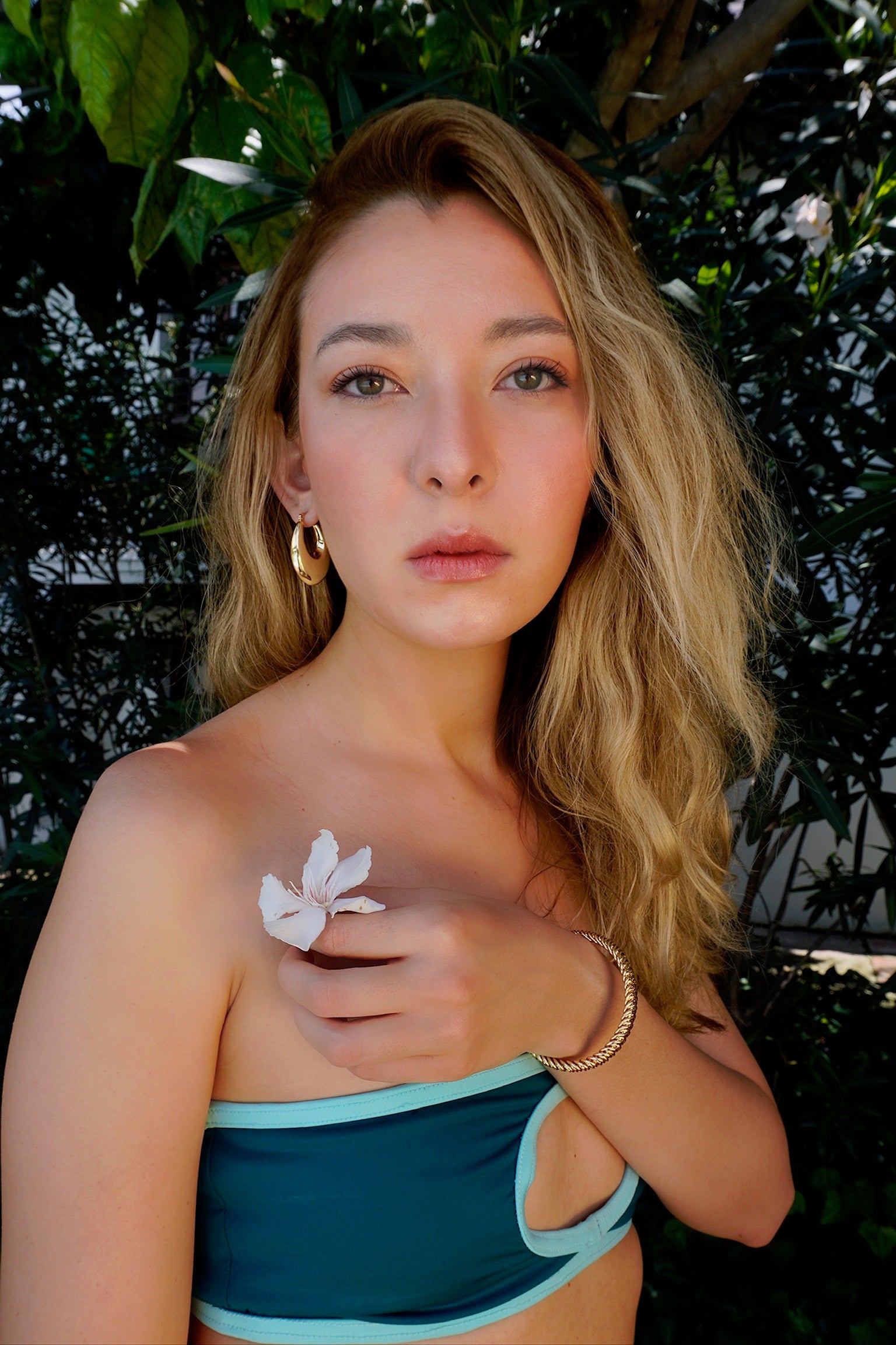 Tropical Cutout